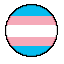 trans flag