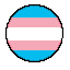 trans flag trans flag