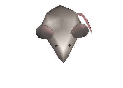 horizontally spinning rat gif